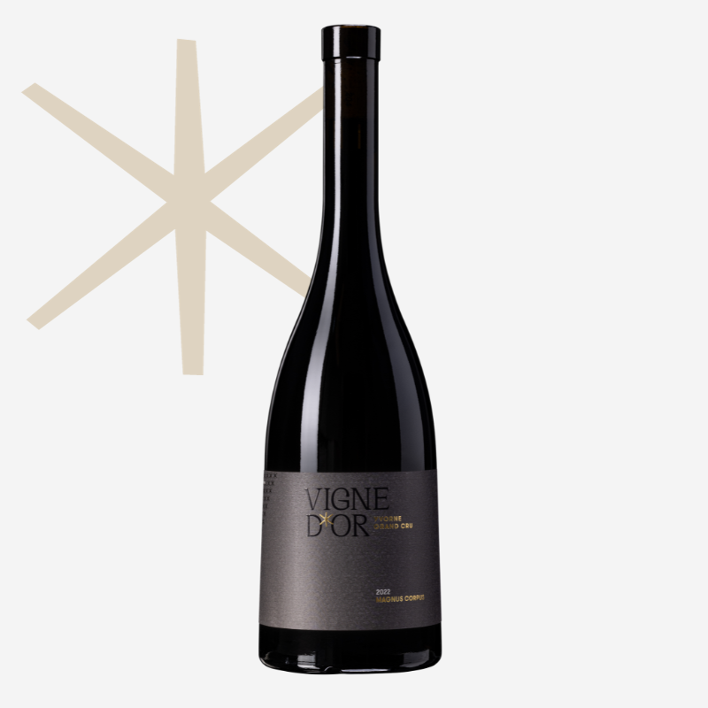 Yvorne Grand Cru Vigne d'Or MAGNUS CORPUS F&ucirc;t de Ch&ecirc;ne Chablais AOC